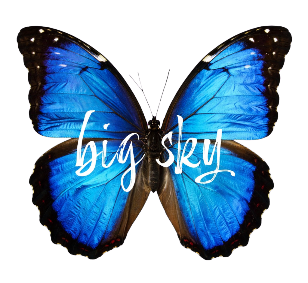transparent butterfly