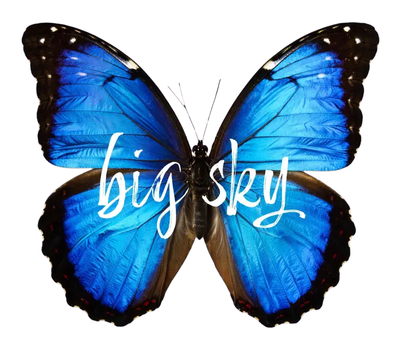 Big Sky Digital Marketing