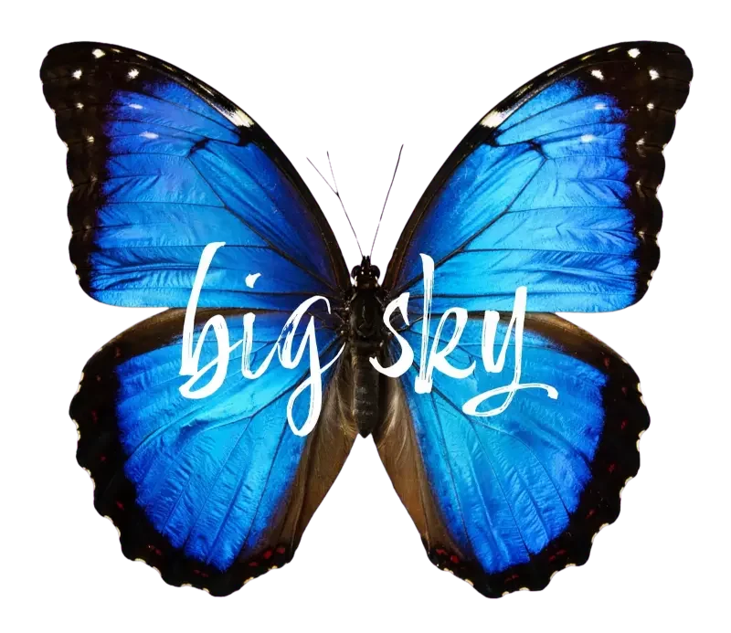 small butterfly